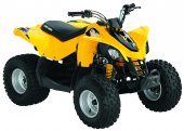 2010 Can-Am DS 90 photo